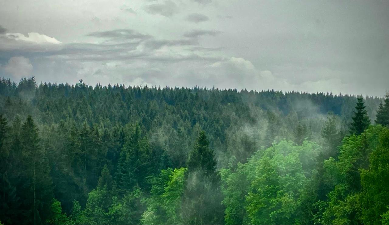 Ferienwohnung Harzurlaub Goslar Exteriör bild