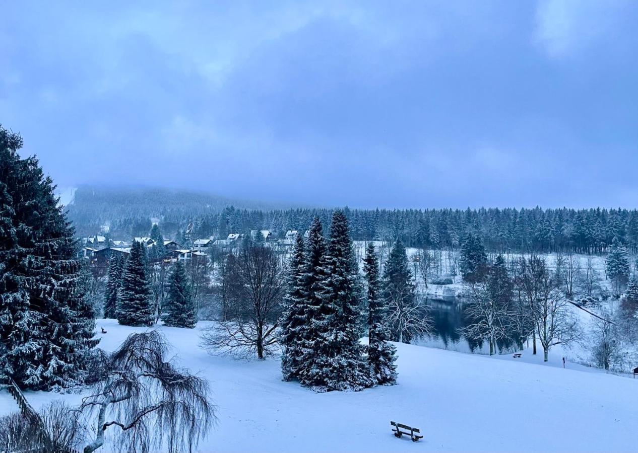 Ferienwohnung Harzurlaub Goslar Exteriör bild